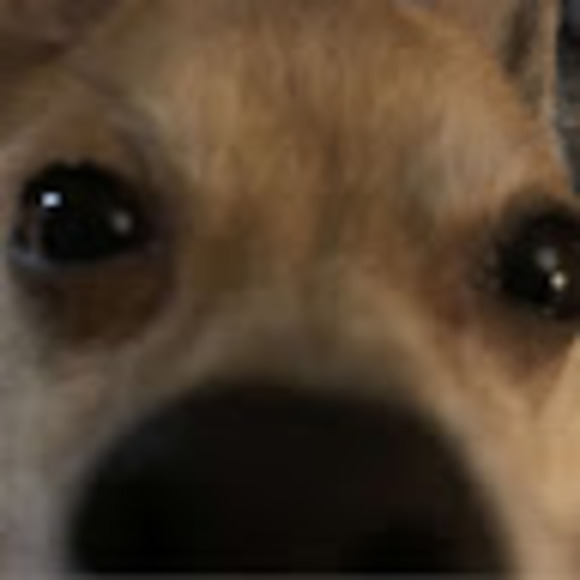brgssgbrl